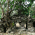 Temples d'Angkok Wat