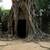 Temples d'Angkok Wat