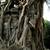 Temples d'Angkok Wat