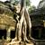 Temples d'Angkok Wat